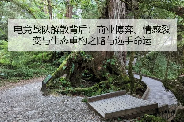 电竞战队解散背后：商业博弈、情感裂变与生态重构之路与选手命运