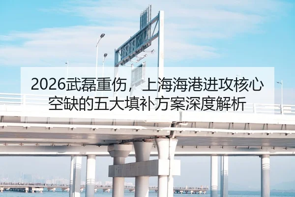 2026武磊重伤，上海海港进攻核心空缺的五大填补方案深度解析